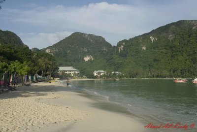 DSC_1041.jpg