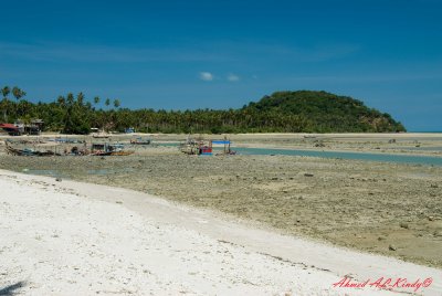DSC_4385.jpg