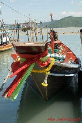DSC_4391.jpg