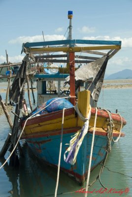 DSC_4395.jpg