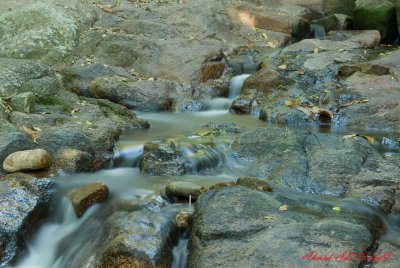DSC_4428.jpg