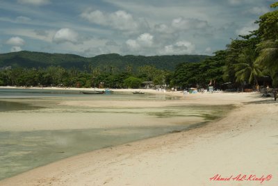 DSC_4507-2.jpg