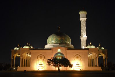 AZulfa Mosque19.jpg