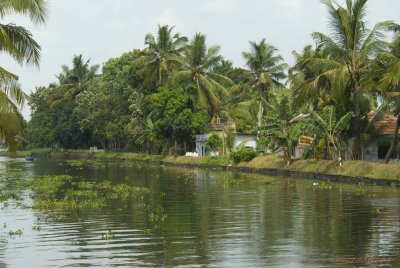 DSC_9973.jpg