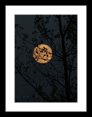 full moon - October 2007