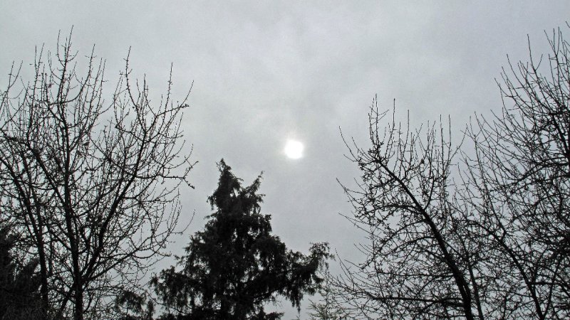 soleil de neige.JPG