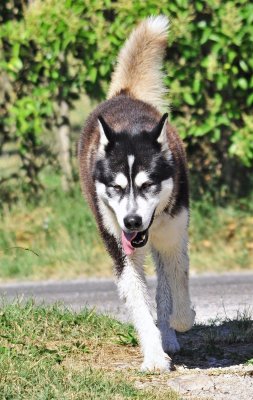 DSC_4724a.JPG