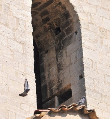 DSC_5052.JPG