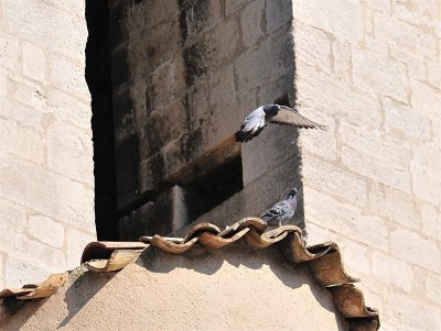 DSC_5053.JPG