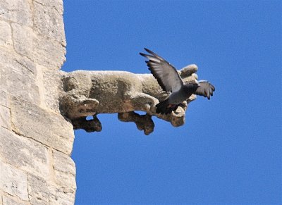 DSC_5055.JPG