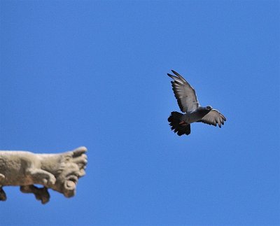 DSC_5056.JPG