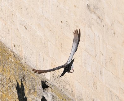 DSC_5059.JPG