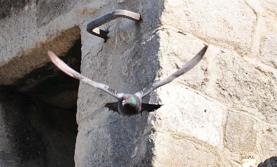 DSC_5073.JPG