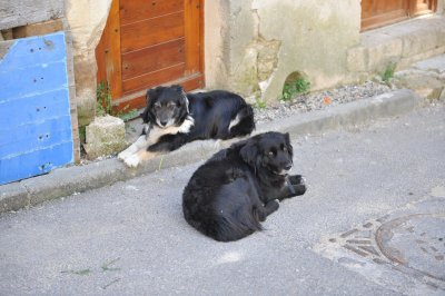 DSC_1399.JPG