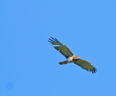 DSC_2765.JPG