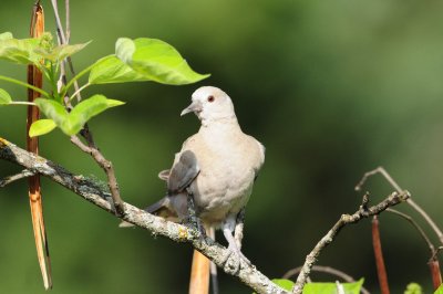 DSC_2876.JPG