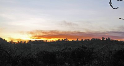 IMG_0379.JPG