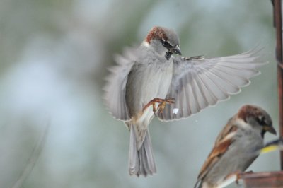 DSC_6483.JPG