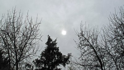 soleil de neige.JPG