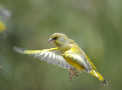 DSC_4618c.jpg