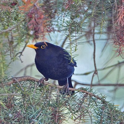 DSC_7383.JPG