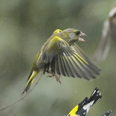 DSC_5084c.jpg
