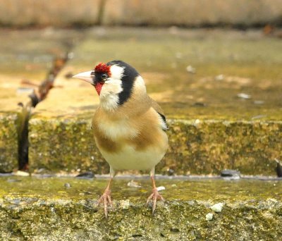 DSC_8266.JPG