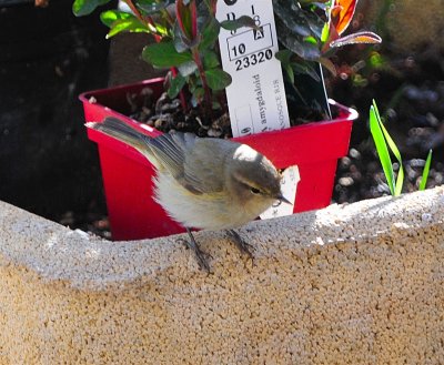DSC_2509.JPG