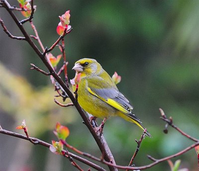 DSC_2907.JPG
