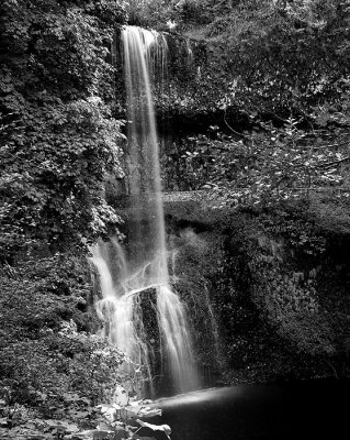 Silver Falls SP 1 Black and White