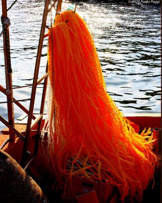 Orange Fishing-net