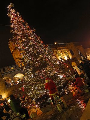 BOLOGNA : Christmas Tree in the Square