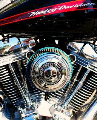 A lot of Harley shine at Palm Spring...