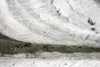08-08-06-10-24-46_Grenzgletscher floor Gornergrat_6789.JPG
