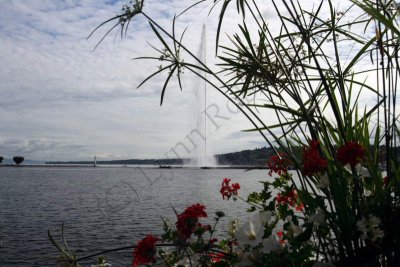 08-08-05-10-12-33_Jet d'Eau Geneve_8794.JPG
