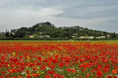 Auvergne Provence-Côte d'Azur Languedoc-Roussillon