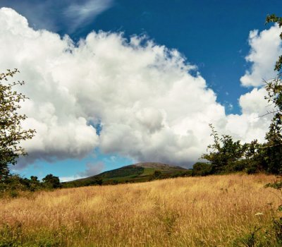 meadow and clouds .jpg