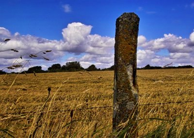 stone post and cornfield.jpg