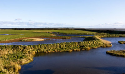 Part of Wexford wildlife Reserve - looking East .jpg