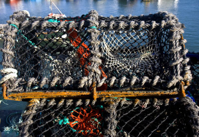 lobster cages 2.jpg