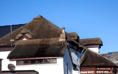 thatched roof .jpg