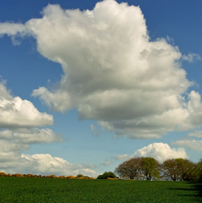 field and clouds .jpg