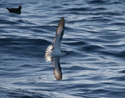 g3/04/879604/3/122710190.Q0Q14QM2.jpg