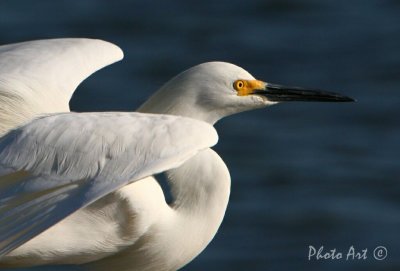 IMG_9412.JPG