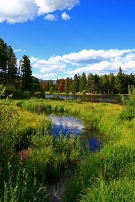 Rocky Mountain National Park