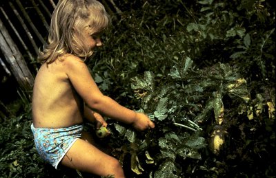 1975-1.jpg