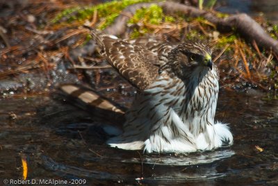 Taking a bath