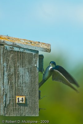 Checking on the neighbours
