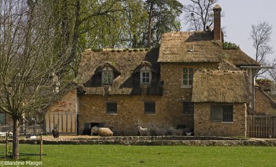 A la ferme de Marie-Antoinette