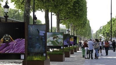 Journes de la biodiversit  Paris